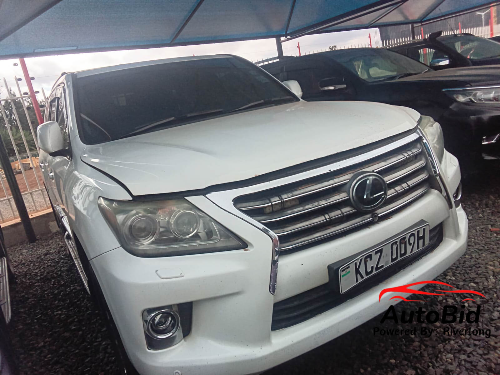 2014 LEXUS LX570 white – photo 9