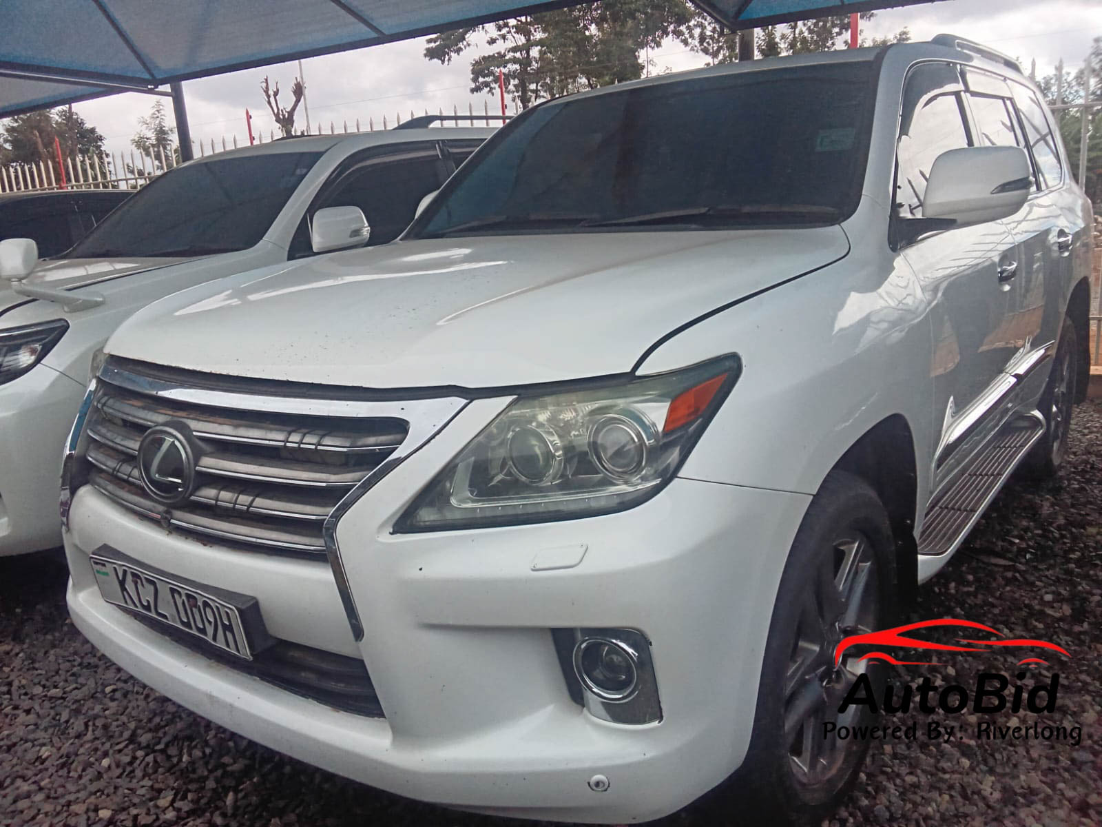 2014 LEXUS LX570 white – photo 1