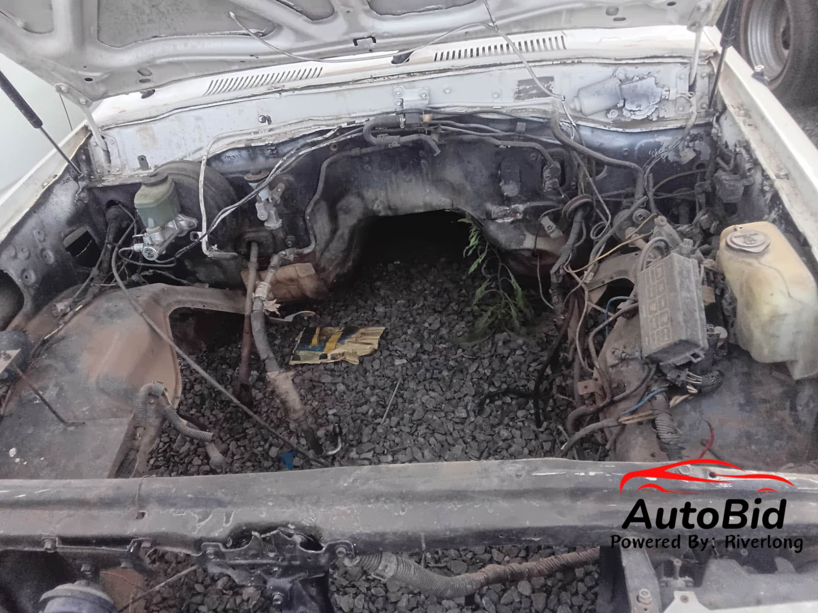 2004 TOYOTA LAND CRUISER white – photo 6