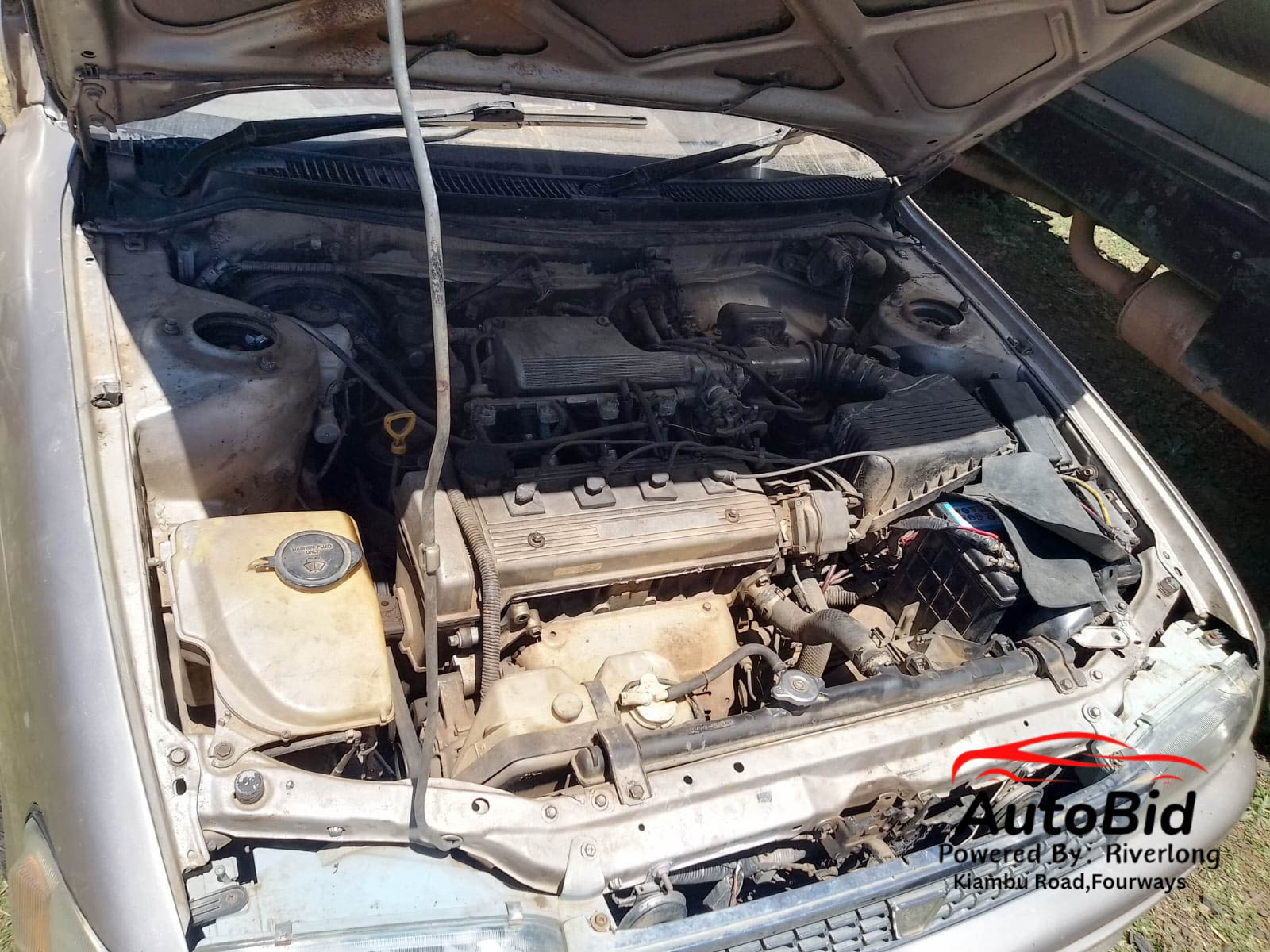 1995 TOYOTA Corrolla Grey – photo 10