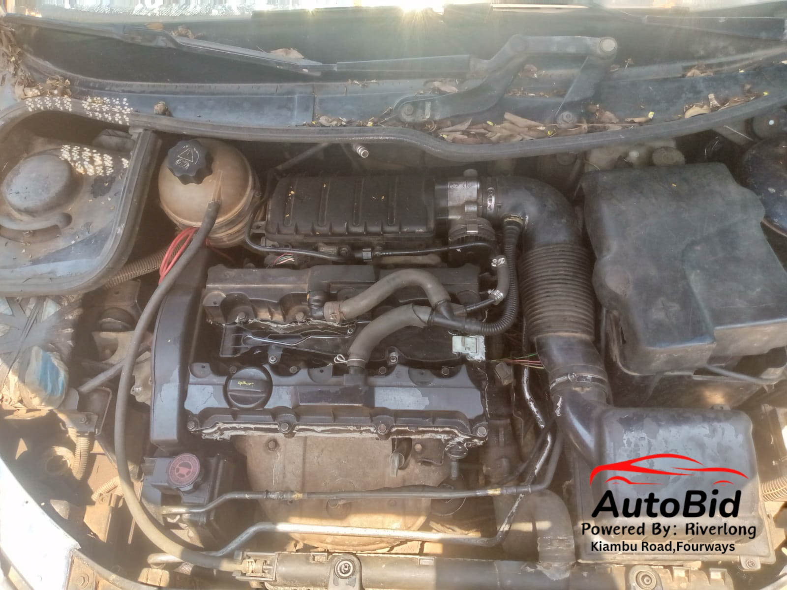 2003 Peugeot 206 DeepBlue – photo 7
