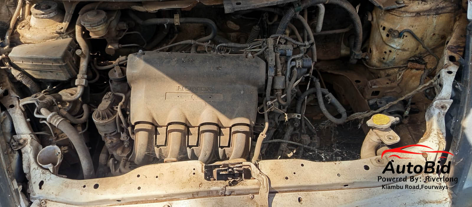 2004 HONDA FIT white – photo 2