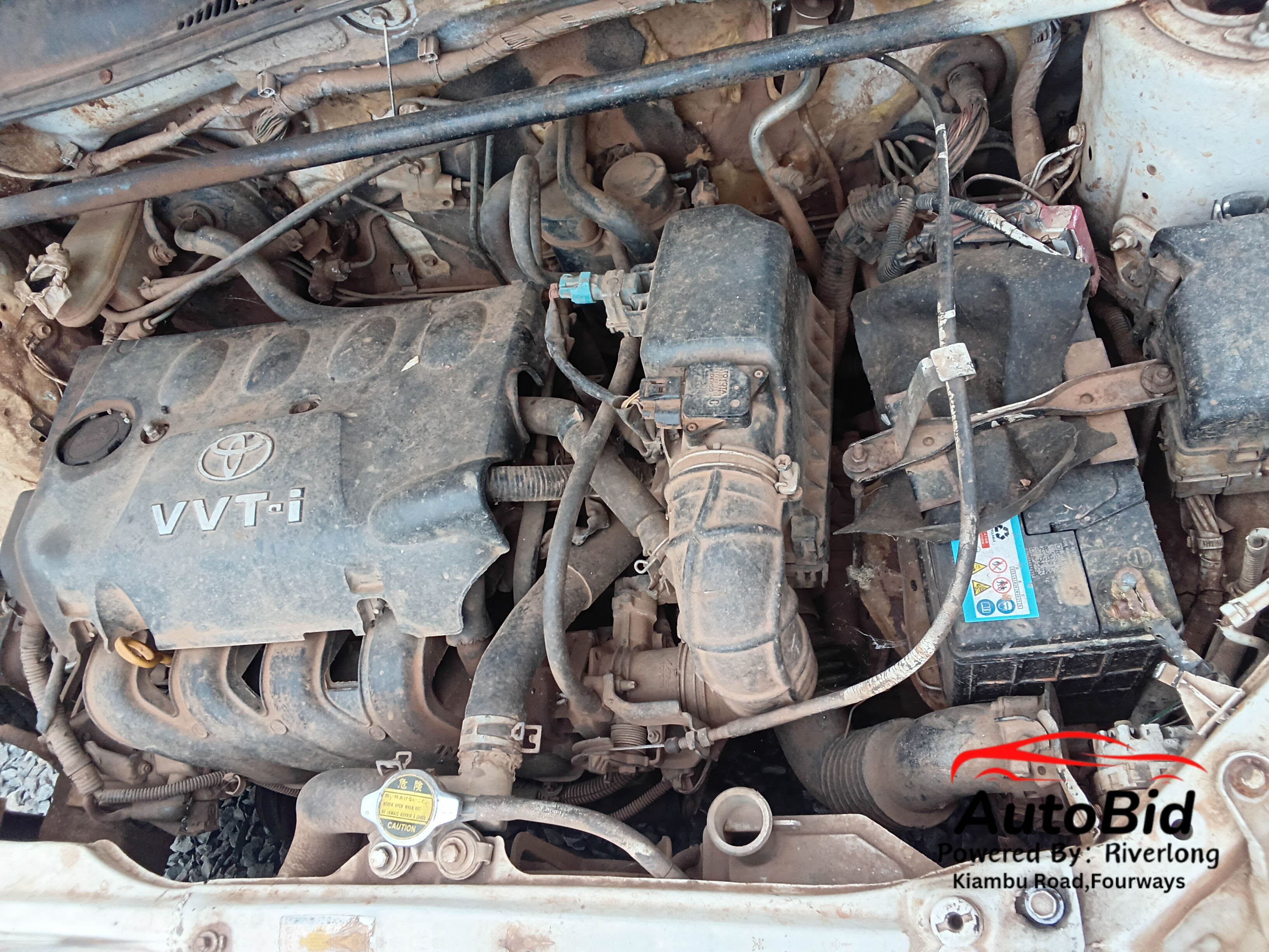 2006 TOYOTA Succeed white – photo 3