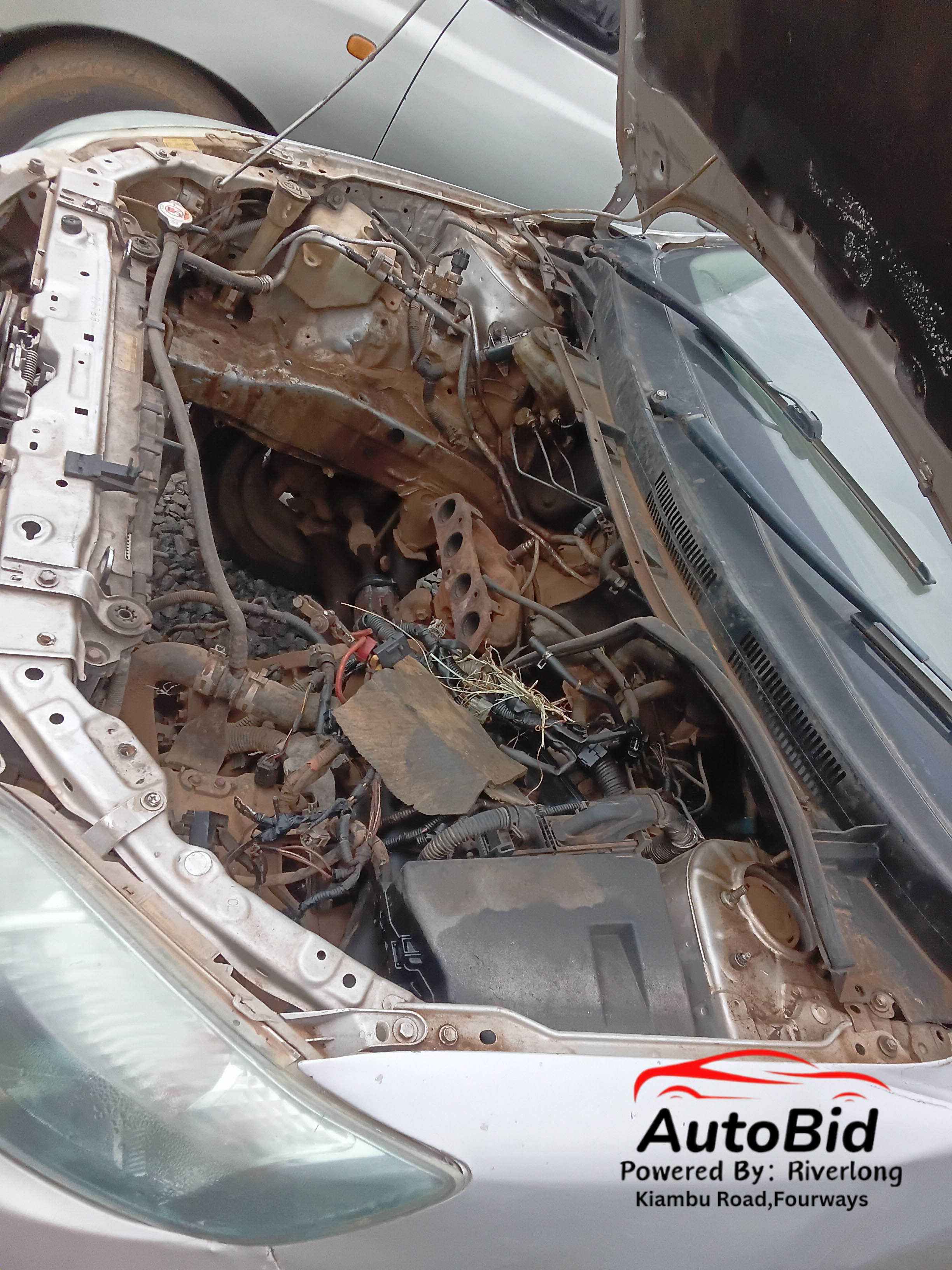 2006 TOYOTA Corolla Fielder Silver – photo 3