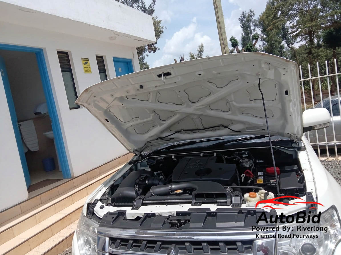 2011 Mitsubishi Shogun white – photo 3