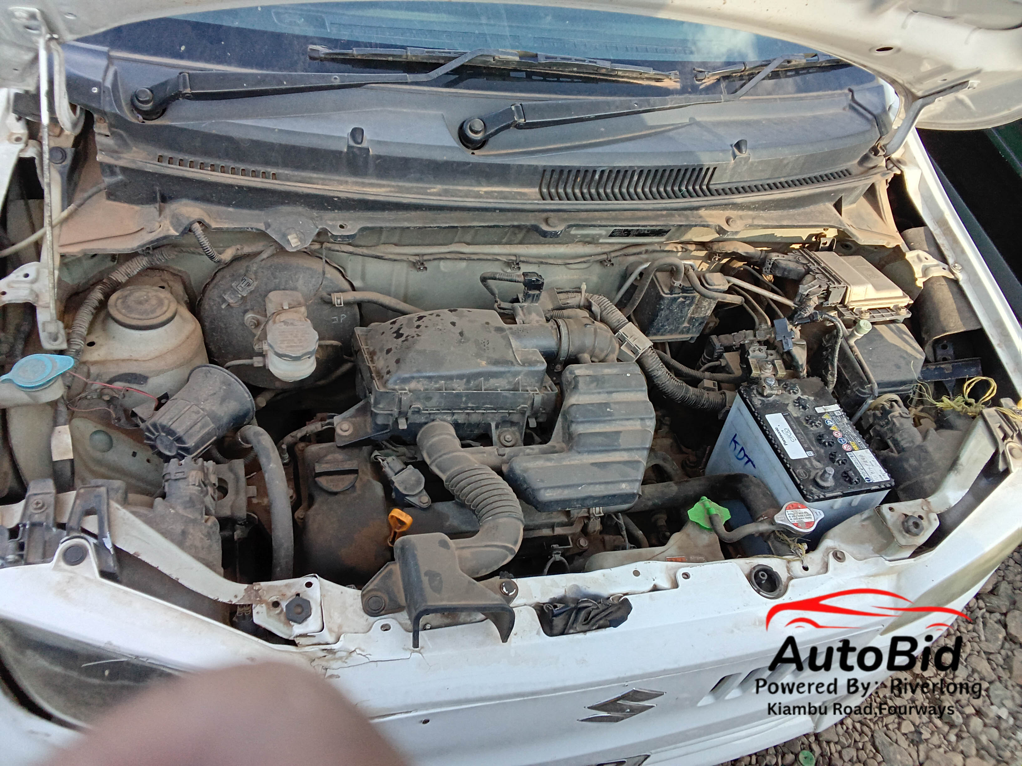 2016 SUZUKI Alto white – photo 3