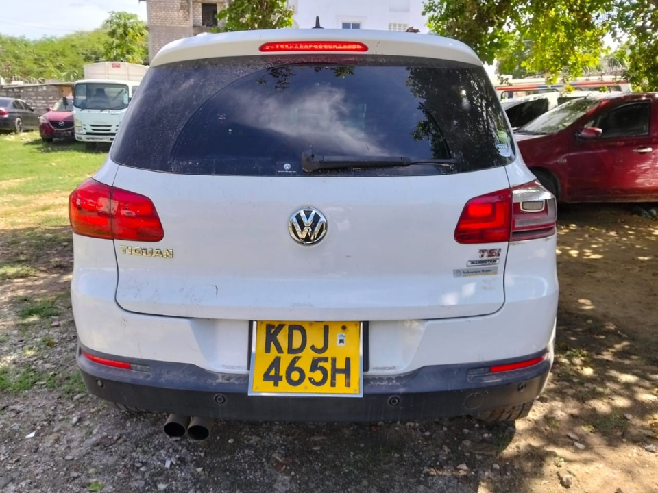 2015 Volkswagen Tiguan white – photo 8