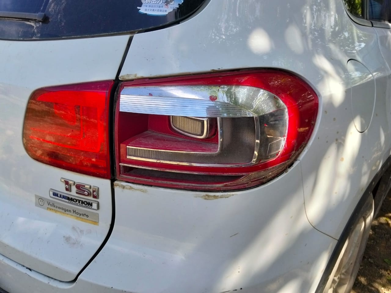 2015 Volkswagen Tiguan white – photo 5