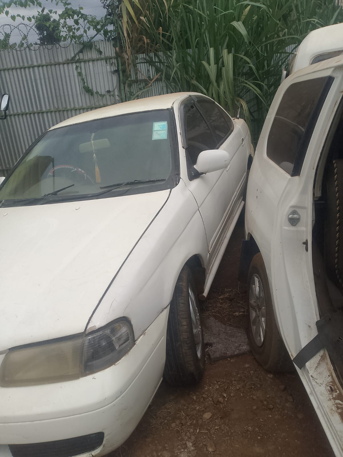 2004 Nissan SUNNY white – photo 2
