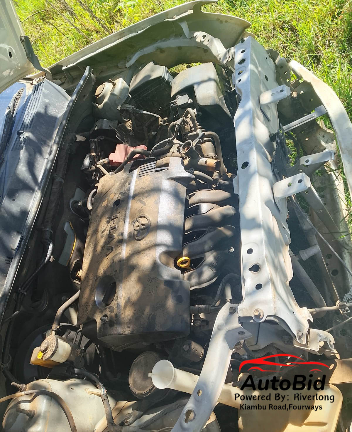 2016 TOYOTA Succeed white – photo 4