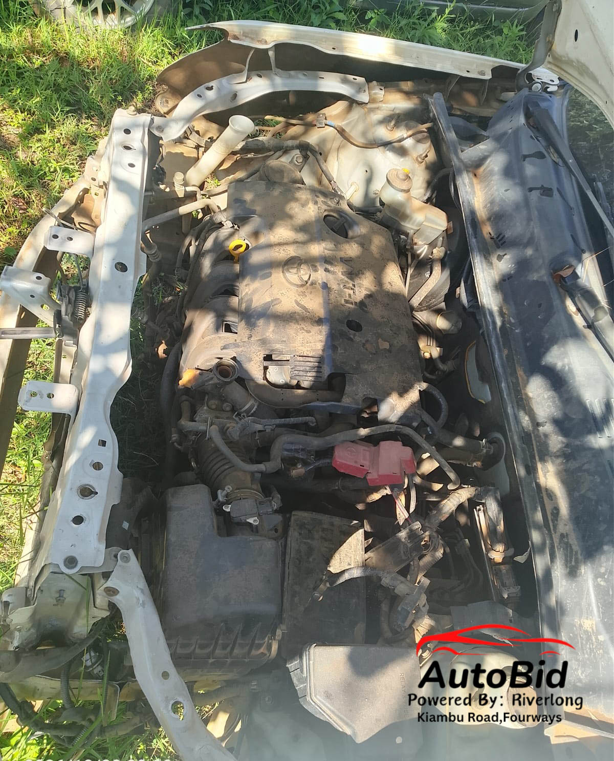 2016 TOYOTA Succeed white – photo 3
